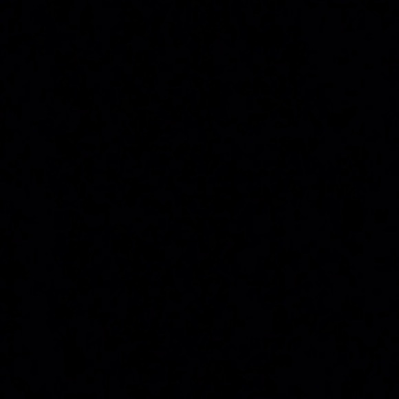 Goodthreads Sz XS Basics Bundle 100% lamb Wool Button Down Cardigan jacket sz - Picture 2 of 6